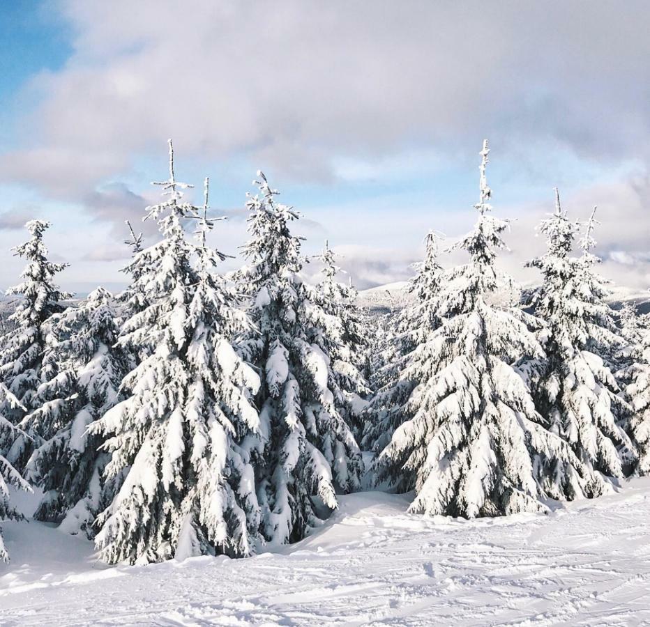 Central Suites - Spindleruv Mlyn Bagian luar foto