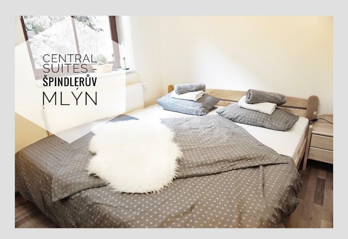 Central Suites - Spindleruv Mlyn Bagian luar foto
